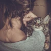 Anny cat 2003