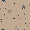 moon.x.stars_