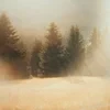 МалиноваЯгодка