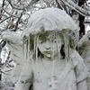 Люблю Оджи Бубу