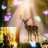 Squirrel_Deer