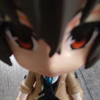 POPPY_BSD_FF