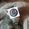 Я хочу чтоб ты верил