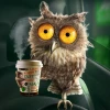 forest owl