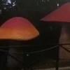 Блестка в чае
