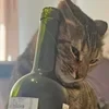 Следствие ведёт Каневский