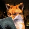 Mr.Mandarin