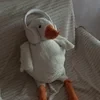 Fallen from the sky