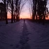 Житель подвалов