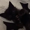 мямяшка фак