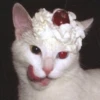 вечность слиплась