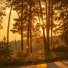 Ламповая_няшк
