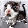 Гайка Каммунистка