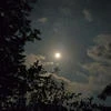 Ангел смерти111