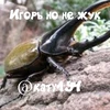 Игорь но не жук