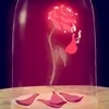 Enchanted_Rose