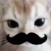 laqwwxc