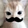 Святой_Отец_