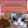Картошка_морковка