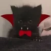 вещие сны