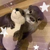 Фиолетовые облака