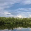 Волжаночка