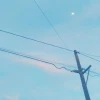 Ингоро