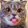 Кофепейчик