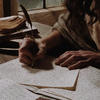 Miss Lost
