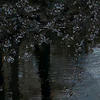 _Brume_