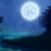 NightMist