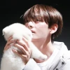 bluetaetae
