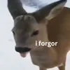 the unnr