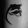 Raccoon__