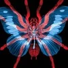 LinaVspaK