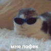 дождь в засуху