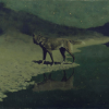 die Wildheit