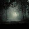 black.mist