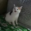 Бумажный Джон