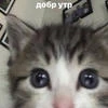 Джайзек_Эстебан_Картошка