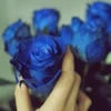 Gorkaya_K