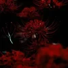 _.Abyss._