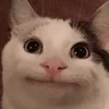GRYX