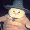 beelzxx