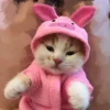 злая муха