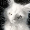 Котик под мятой