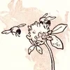 Nimfadory