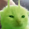 Шприц 993 310