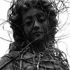 Dafna_Lemmon