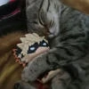 frankly.cute